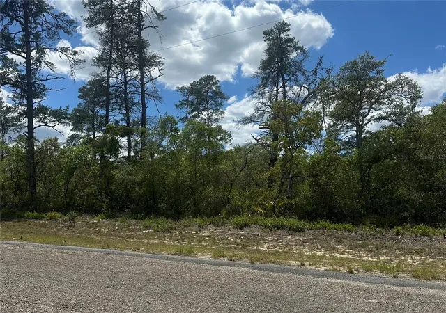 Homes for sale in Dunnellon, FL | 8036 N Wayside Ave, Dunnellon, FL 34433 | MLS# TB8500739