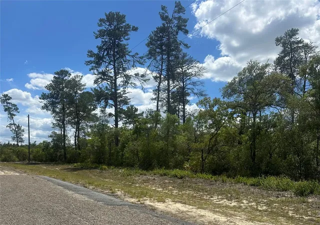 Homes for sale in Dunnellon, FL | 8036 N Wayside Ave, Dunnellon, FL 34433 | MLS# TB8500739