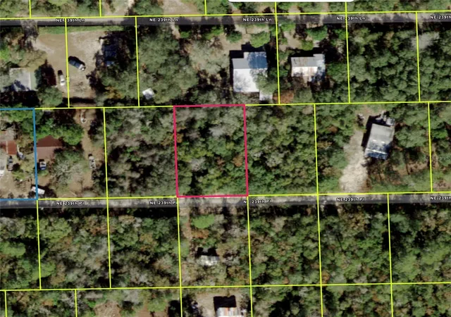 Photo 1 of Land for sale at Northeast 239th Pl, Fort Mc Coy, FL 32134 | MLS# O6401605 | Listing updated on 2026-04-23