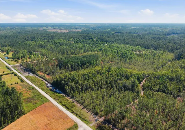 2nd image of Tbd Ne 125th Ave, Fort Mc Coy, FL 32134 | MLS# OM723352