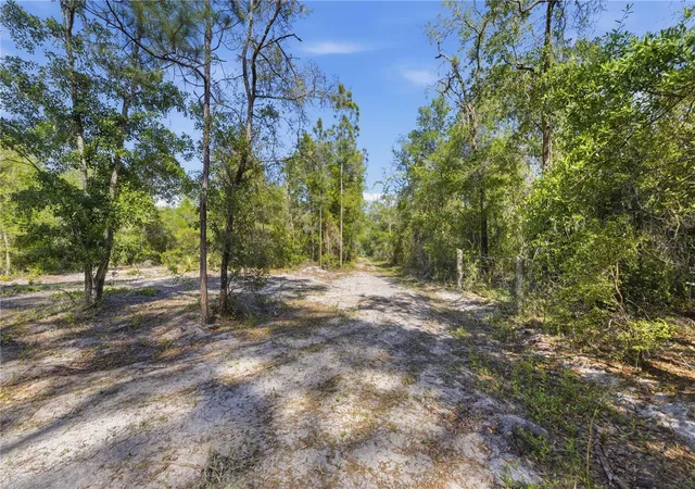 19th image of Tbd Ne 125th Ave, Fort Mc Coy, FL 32134 | MLS# OM723352