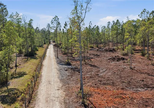 3rd image of Tbd Ne 125Th Ave, Fort Mc Coy, FL 32134 | MLS# OM723352