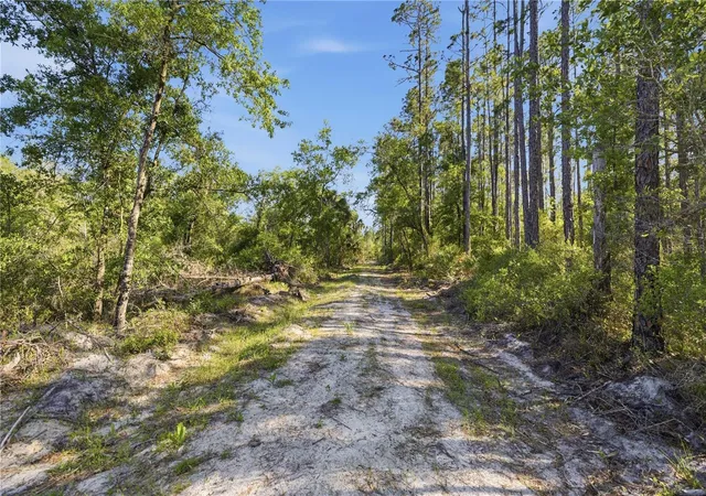 4th image of Tbd Ne 125Th Ave, Fort Mc Coy, FL 32134 | MLS# OM723352