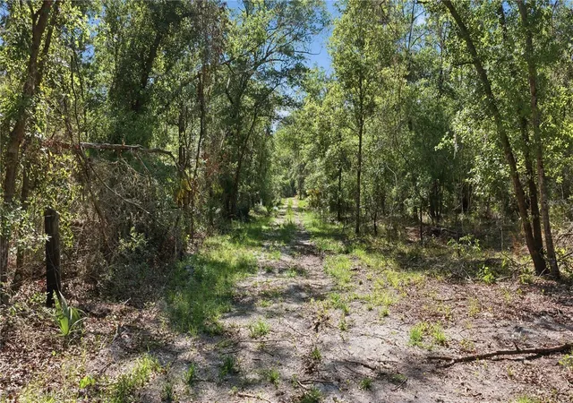5th image of Tbd Ne 125Th Ave, Fort Mc Coy, FL 32134 | MLS# OM723352
