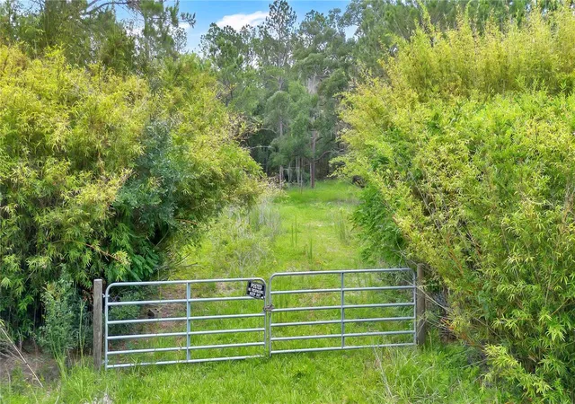 3rd image of 7831 Ne 132Nd Pl, Citra, FL 32113 | MLS# TB8500975