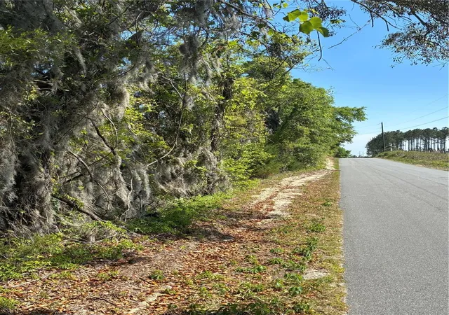 2nd image of 298th Street, Newberry, FL 32669 | MLS# GC539732