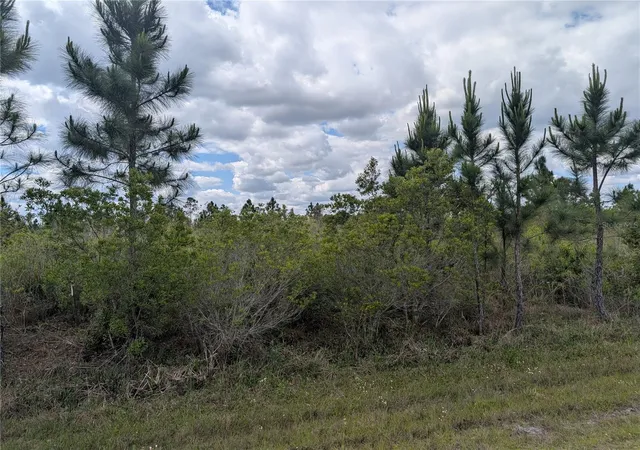 3rd image of Althea Dr, Indian Lake Estates, FL 33855 | MLS# P4938538