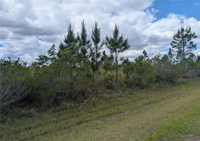 5th image of Althea Dr, Indian Lake Estates, FL 33855 | MLS# P4938538