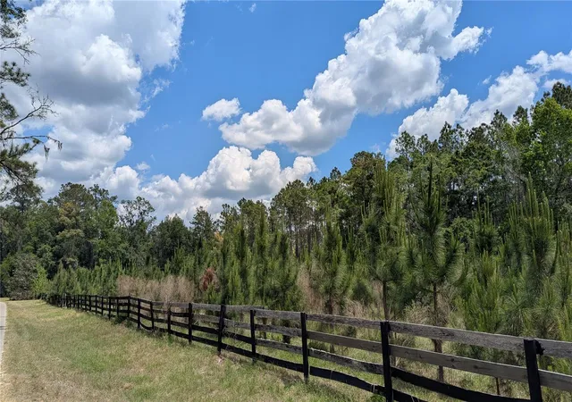 Photo 4 of Land for sale at Tbd NW 71st Terrace, Gainesville, FL 32653 | MLS# GC539736 | Listing updated on 2026-07-21