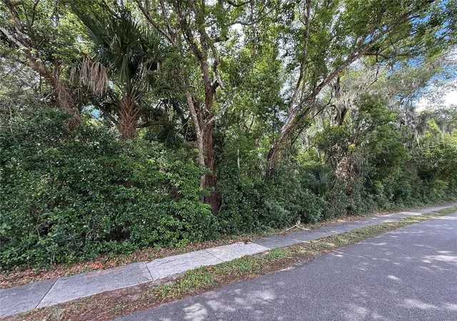 1st image of Tbd King Ave, Zellwood, FL 32798 | MLS# G5111445