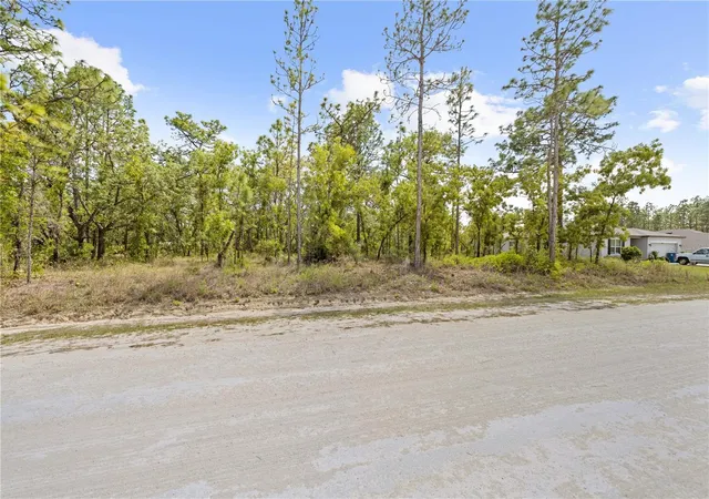 Homes for sale in Weeki Wachee, FL | 0 Sandpiper Ave, Weeki Wachee, FL 34614 | MLS# TB8501141