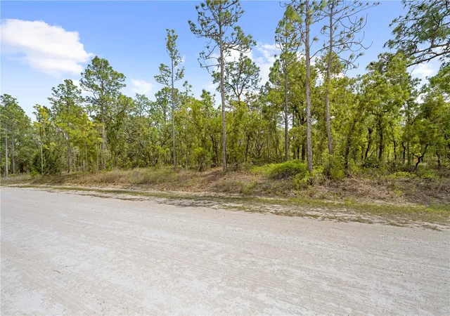 Homes for sale in Weeki Wachee, FL | 0 Sandpiper Ave, Weeki Wachee, FL 34614 | MLS# TB8501141