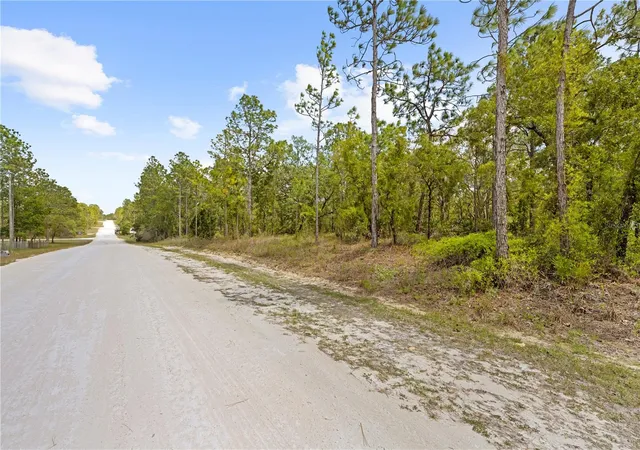 Homes for sale in Weeki Wachee, FL | 0 Sandpiper Ave, Weeki Wachee, FL 34614 | MLS# TB8501141