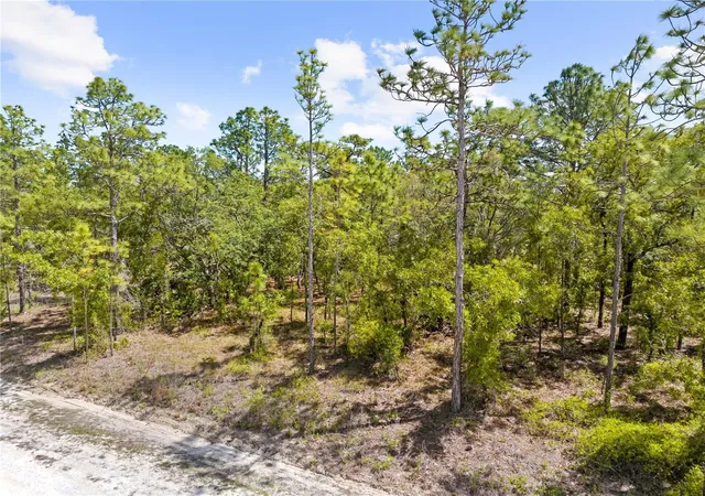 Homes for sale in Weeki Wachee, FL | 0 Sandpiper Ave, Weeki Wachee, FL 34614 | MLS# TB8501141