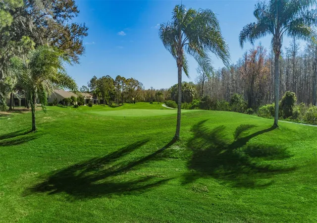 61st image of 9307 Palm Haven Ct, New Port Richey, FL 34655 | MLS# W7885141