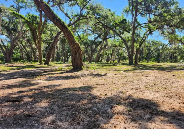 Photo 4 of Land for sale at Muck Pond Rd, Seffner, FL 33584 | MLS# TB8501301 | Listing updated on 2026-07-30