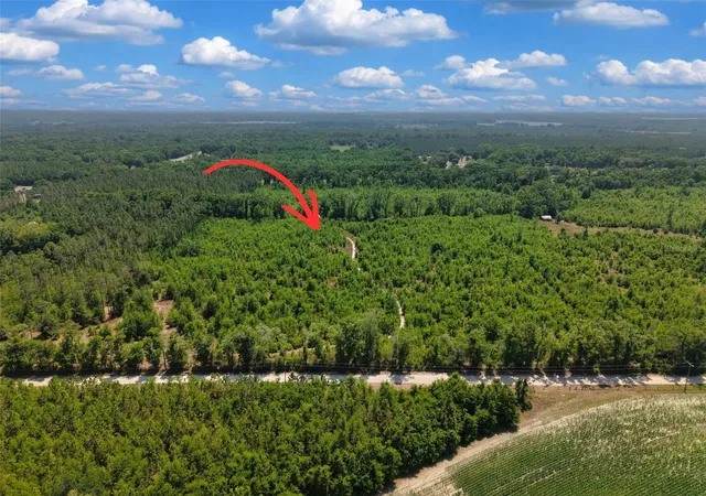 Homes for sale in Branford, FL | Tbd 000 Ne 998Th Ave, Branford, FL 32008 | MLS# GC539766