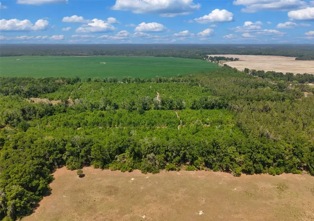 Homes for sale in Branford, FL | Tbd 000 Ne 998Th Ave, Branford, FL 32008 | MLS# GC539766