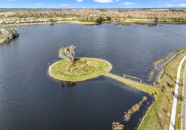 Homes for sale in Odessa, FL | 2892 Riders Pass, Odessa, FL 33556 | MLS# TB8501461