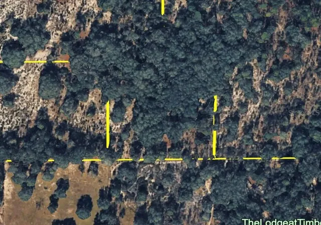 4th image of 120 Ne Sr24 Ave Ne, Archer, FL 32618 | MLS# S5148578