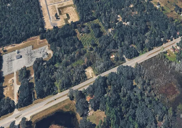 Photo 3 of Land for sale at 101 Collins Rd, Osteen, FL 32764 | MLS# O6402067 | Listing updated on 2026-06-11