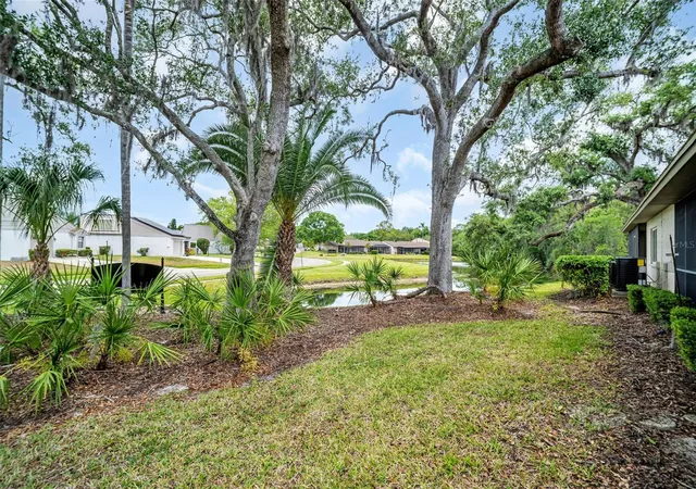 46th image of 120 Evelyn Ct, Oldsmar, FL 34677 | MLS# TB8501596