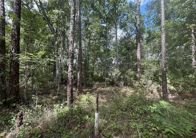 Photo 2 of Land for sale at Kusan St, New Port Richey, FL 34654 | MLS# W7885184 | Listing updated on 2026-10-13