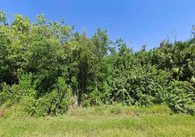 Photo 1 of Land for sale at 14276 Myakka Ave, Port Charlotte, FL 33953 | MLS# O6402152 | Listing updated on 2026-05-14