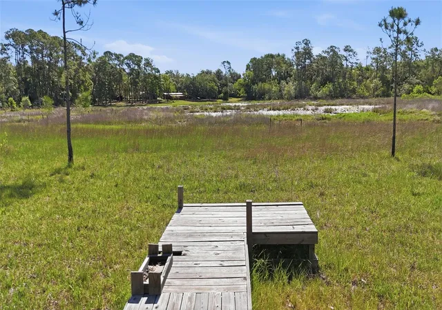 1st image of Tbd Holly Branch Rd, Eustis, FL 32736 | MLS# G5111513