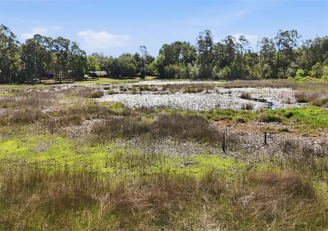 5th image of Tbd Holly Branch Rd, Eustis, FL 32736 | MLS# G5111513
