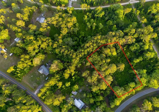 Photo 1 of Land for sale at 172 Whispering Pines Rd, Georgetown, FL 32139 | MLS# V4948730 | Listing updated on 2026-08-11