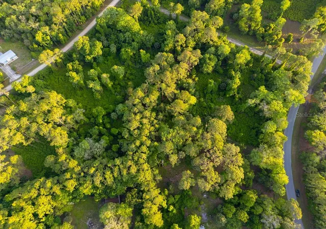 Photo 13 of Land for sale at 172 Whispering Pines Rd, Georgetown, FL 32139 | MLS# V4948730 | Listing updated on 2026-08-11