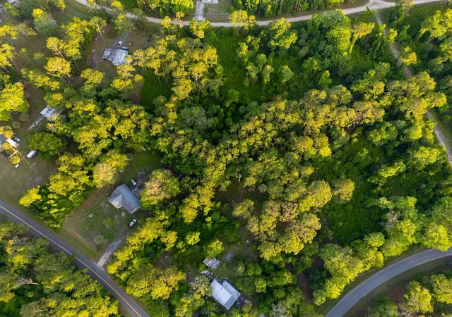 Photo 2 of Land for sale at 172 Whispering Pines Rd, Georgetown, FL 32139 | MLS# V4948730 | Listing updated on 2026-08-11