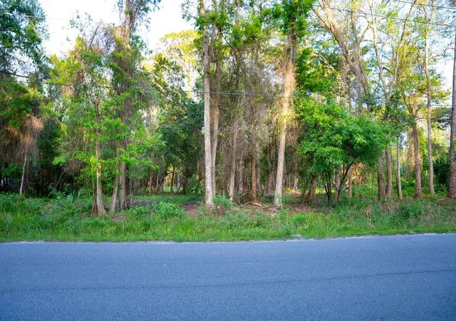 Photo 3 of Land for sale at 172 Whispering Pines Rd, Georgetown, FL 32139 | MLS# V4948730 | Listing updated on 2026-08-11
