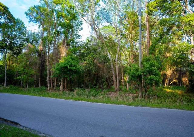 Photo 4 of Land for sale at 172 Whispering Pines Rd, Georgetown, FL 32139 | MLS# V4948730 | Listing updated on 2026-08-11