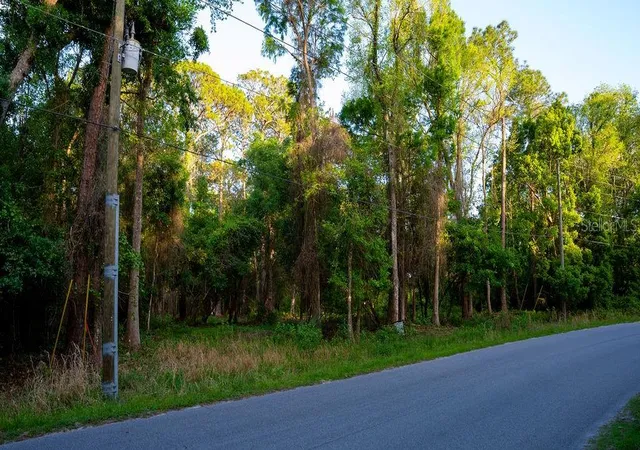 Photo 5 of Land for sale at 172 Whispering Pines Rd, Georgetown, FL 32139 | MLS# V4948730 | Listing updated on 2026-08-11