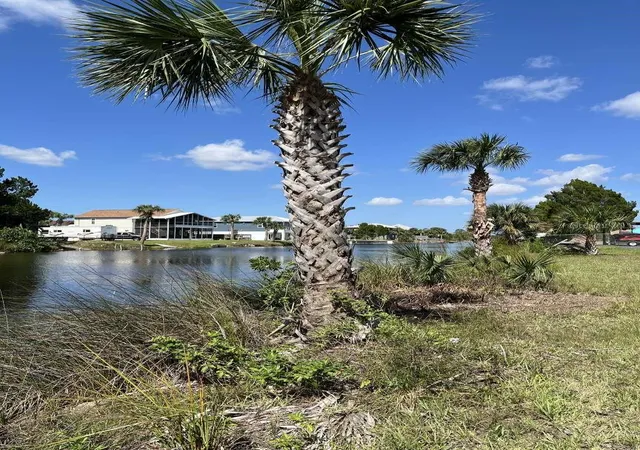 Photo 4 of Land for sale at 3341 Shl Line Blvd, Hernando Beach, FL 34607 | MLS# TB8501794 | Listing updated on 2026-04-26