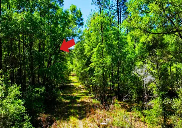 11th image of Tbd Sw 24th Pl, Ocala, FL 34481 | MLS# A4691430
