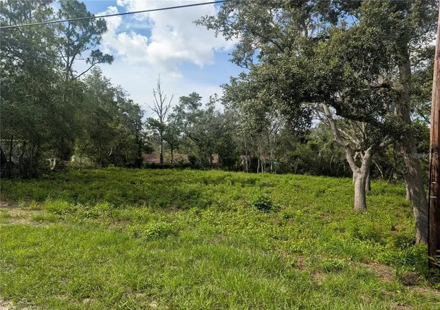 Homes for sale in Dade City, FL | 0 Merlin Cir, Dade City, FL 33523 | MLS# TB8501846