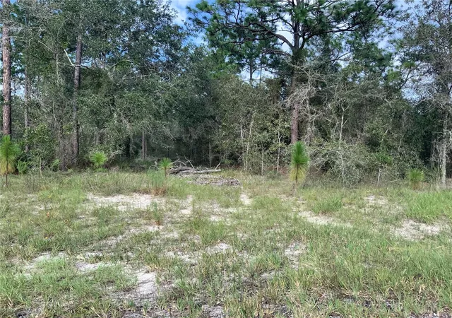 Homes for sale in Morriston, FL | 00 Se 139th Lot 23 Ter, Morriston, FL 32668 | MLS# OM723569