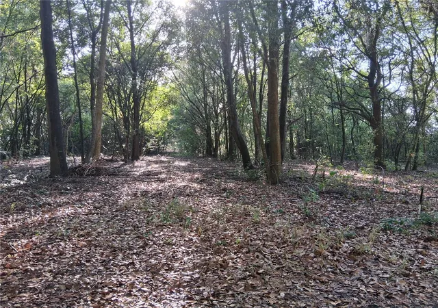 5th image of 16451 Forrest Ln, Groveland, FL 34736 | MLS# G5111569