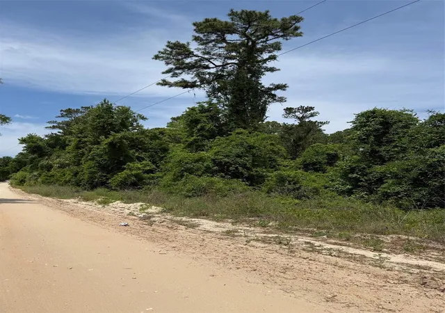 Photo 3 of Land for sale at 000 Folklore Dr, Satsuma, FL 32189 | MLS# G5111580 | Listing updated on 2026-05-11