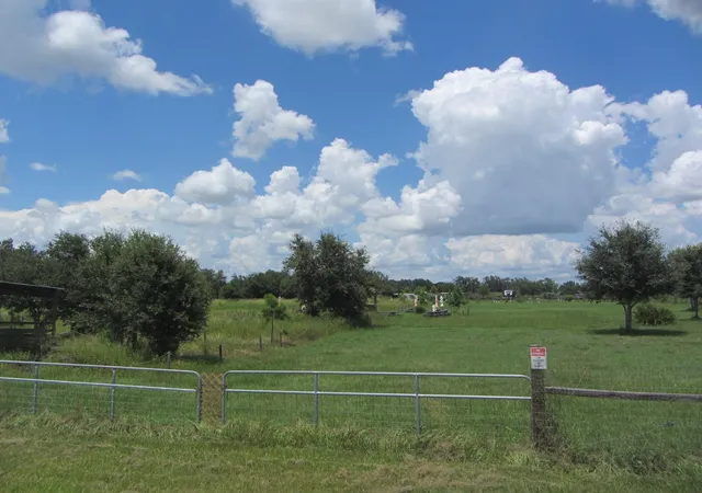 Homes for sale in Myakka City, FL | 46365 State Road 64 E, Myakka City, FL 34251 | MLS# A4691472