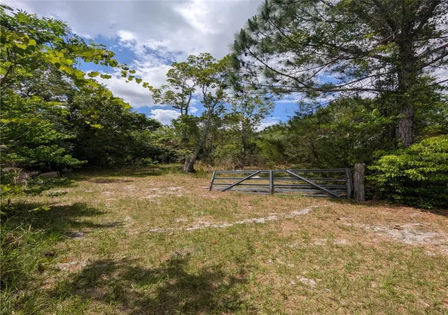 29th image of 38521 Ilex Trl, Eustis, FL 32736 | MLS# O6402556