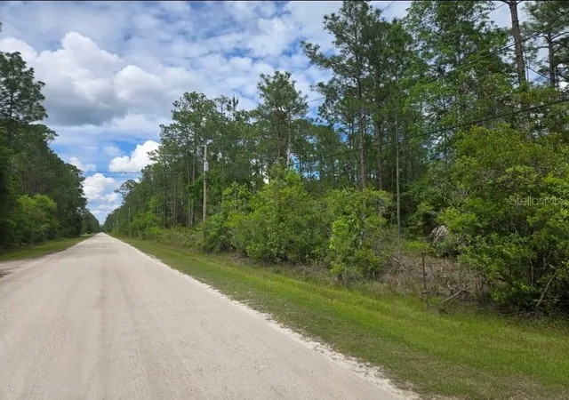 Photo 2 of Land for sale at 1747 Candleberry St, Bunnell, FL 32110 | MLS# O6402584 | Listing updated on 2026-09-12