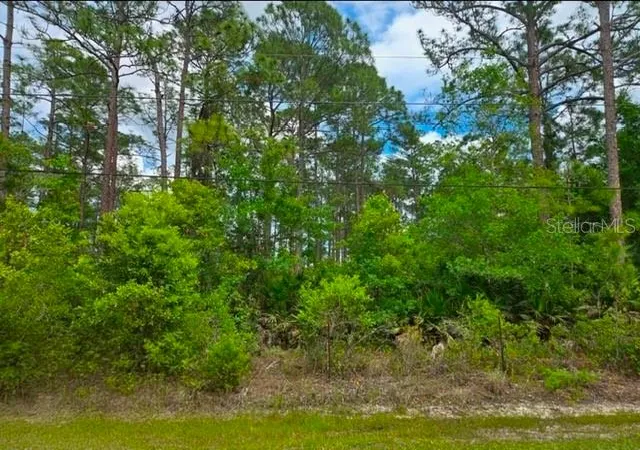 Photo 3 of Land for sale at 1747 Candleberry St, Bunnell, FL 32110 | MLS# O6402584 | Listing updated on 2026-09-12