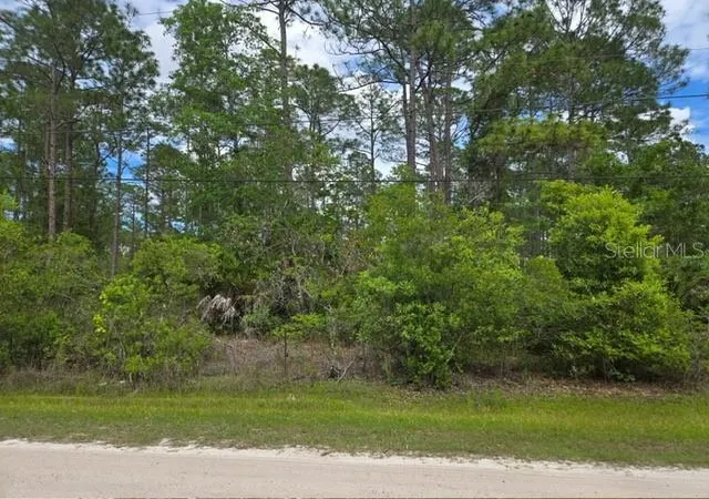 Photo 4 of Land for sale at 1747 Candleberry St, Bunnell, FL 32110 | MLS# O6402584 | Listing updated on 2026-09-12