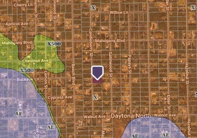 Photo 8 of Land for sale at 1747 Candleberry St, Bunnell, FL 32110 | MLS# O6402584 | Listing updated on 2026-09-12