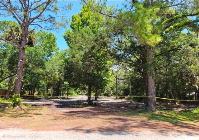 Photo 1 of Land for sale at 177 Gladys Ave, Inglis, FL 34449 | MLS# O6402585 | Listing updated on 2026-09-28