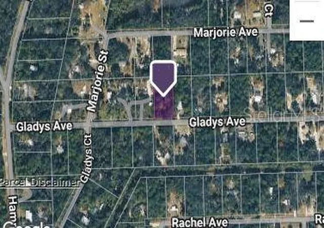 Photo 3 of Land for sale at 177 Gladys Ave, Inglis, FL 34449 | MLS# O6402585 | Listing updated on 2026-09-28